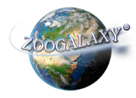 zoogalaxy.net logo