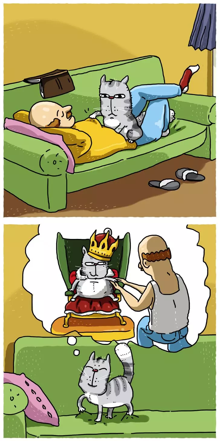 9 кошачьих привычек, которые могут доставлять нам неудобства, и 9 способов решения проблемы