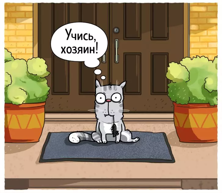 9 кошачьих привычек, которые могут доставлять нам неудобства, и 9 способов решения проблемы