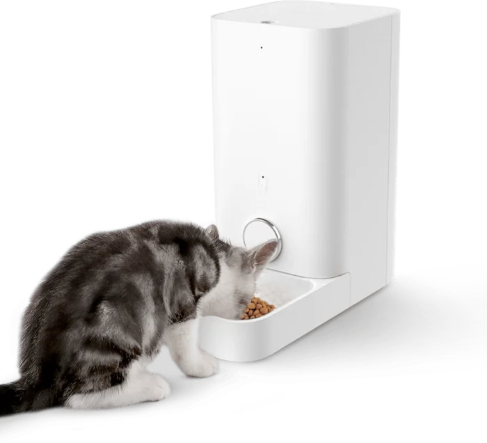 Автоматическая кормушка для кошек с дозатором: гид по покупке