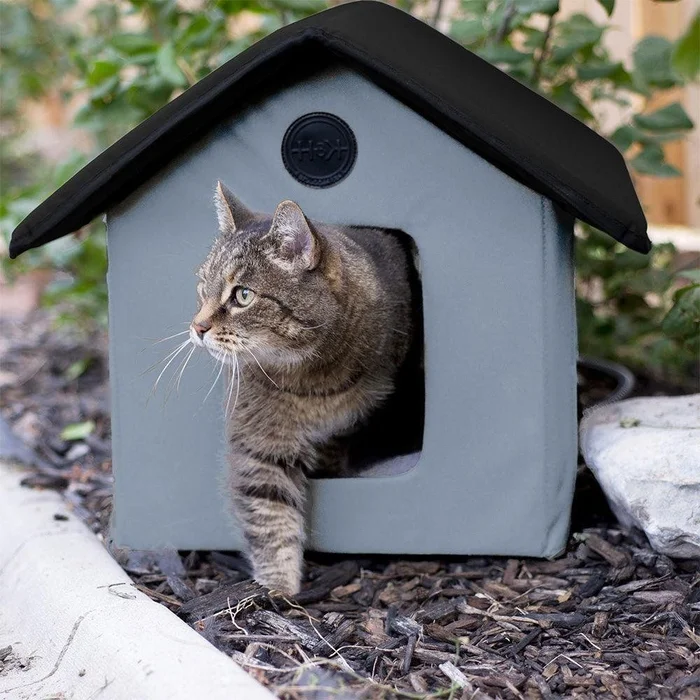 Как выбрать домик для кошки?