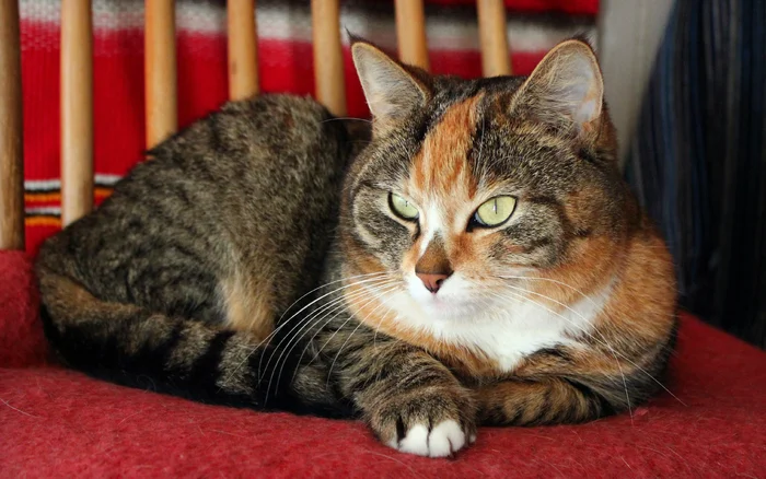 Нарушение обмена веществ