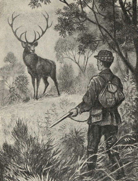 рассказ об охоте на оленя